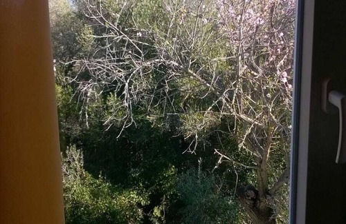 Sesimbra House | Rustic house, sea view, 6 people, terrace with barbecue.