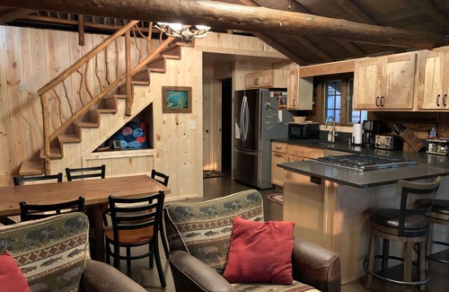 Danbury Cabin | Rustic Lakefront Log Cabin Retreat w/Pontoon included Memorial to Labor Day