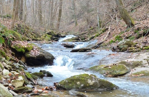Airville RV Rental | Rustic lodge on 128 acres of natural park and conservation area