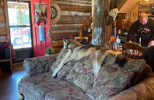 Lanark Highlands Cabin | Rustic log cabin - Lanark Highlands