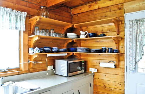Alfred Station Cabin | Rustic Log Cabin in Alfred Station