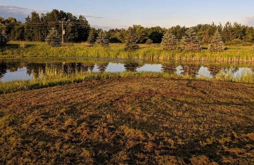 Finlayson House | Rustic Log Lodge Secluded acres with private lake & pond