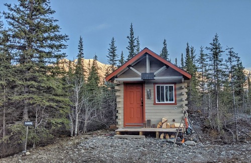 Cantwell Cabin | Rustic Moose Cabin Getaway - Glamping
