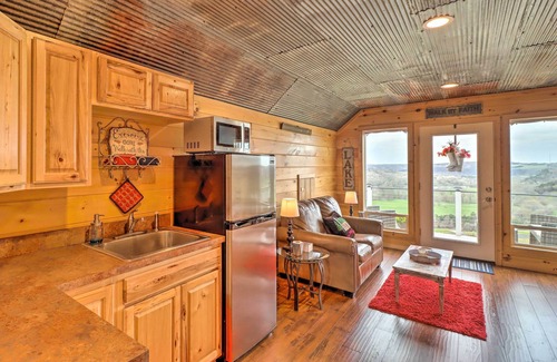 Norfork Apartment | Rustic Norfork Studio w/Million Dollar View!