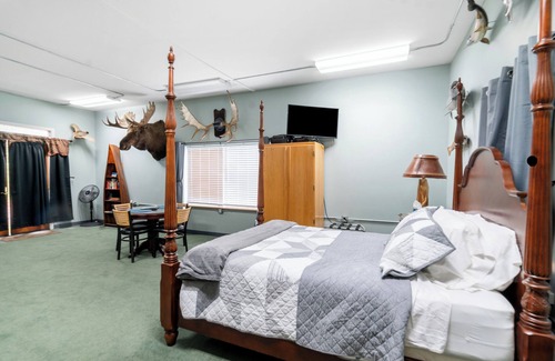 Fox Bed & Breakfast | Rustic Retreat Under the Stars - Quiet, Cozy, & Woodsy - high speed WIFI