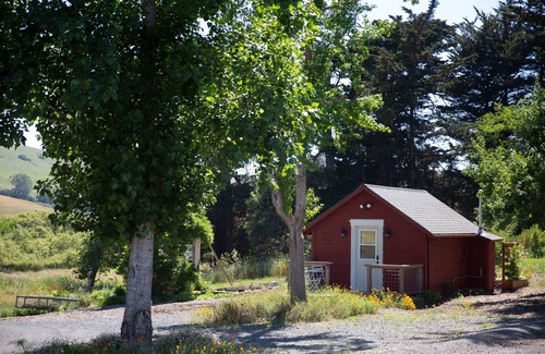 Petaluma Cottage | Rustic Studio Cottage on Organic Cattle Ranch