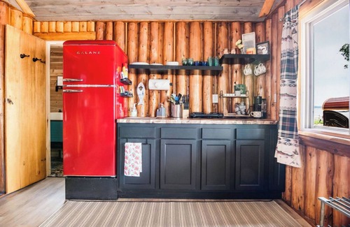 East Jordan Cabin | Rustic Twin Cabin on Lake Charlevoix, Boat Rentals
