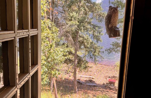 Kaslo Cabin | Rustic Waterfront Log Cabin