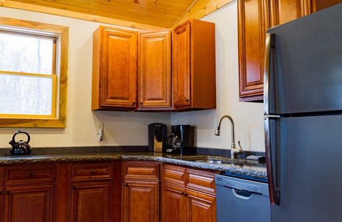 Romulus Cabin | Rustic yet Modern Log Cabin, Cayuga Wine Trail, Dog Friendly, Open Year Round