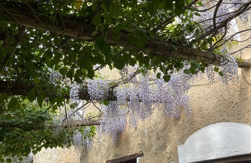 Camaiore Cottage | Rustico La Ghiandaia