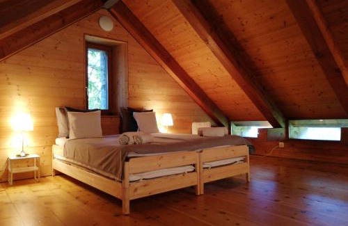 Acquarossa Ski Chalet | RUSTICO Orabino & SAUNA