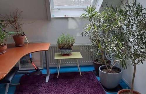 Municipality of Zutphen House | rustige hoekwoning met bad, piano en tuin