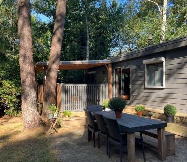 Hattemerbroek Ski Chalet | RustOord Chalet Ontspannen op de Veluwe