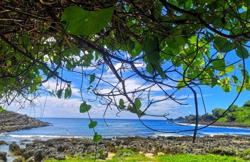 Big Beach Bed & Breakfast | Rusty B&B