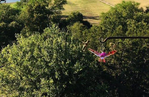 Oatmeal House | RV GLAMPING DIRECTLY ON LAKE TRAVIS- NEAR HIDDEN FALLS ADV. PARK (2021 RV)