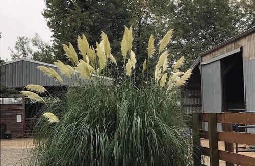 Junction City House | RV Glamping in horse and wine country and pet friendly!