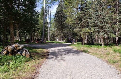 Cimarron RV Rental | RV Lot nestled in the Aspens!