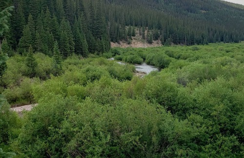 Cimarron RV Rental | RV Lot nestled in the Aspens!
