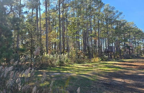 Diggs RV Rental | RV Site On Blanchard Farm -MAX RV LENGTH 24 FT