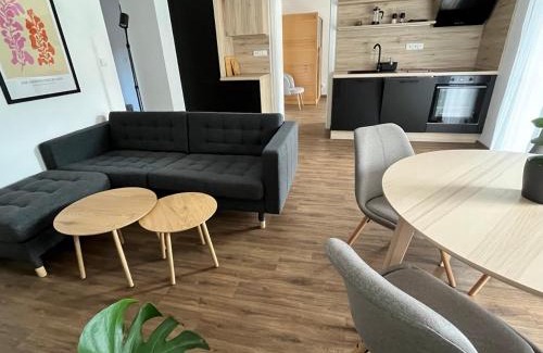 Liberec Apartment | Sáňky Apartmány