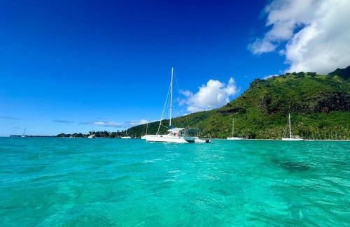 Pihaena Boat Rental | Séjour sur un catamaran, paddle et snorkeling