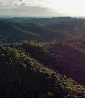 Sao Lourenco da Serra House | Sítio perto de São Paulo com Mata Atlântica e Paz