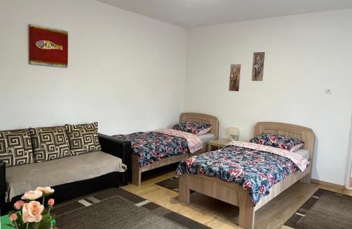 Barcs Apartment | Sövényes Szálláshely
