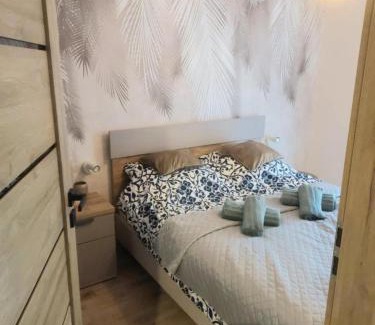 Szklarska Poreba Apartment | Słoneczna Dolina ze strefą SPA