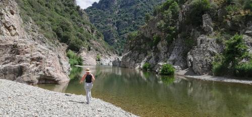 Seulo House | S'orrosa casa vacanze bifamiliare in montagna panorama stupendo Sardegna