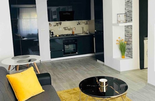 Timisoara Apartment | S & S Apartment's Timisoara Central.