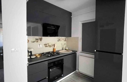 Timisoara Apartment | S & S Apartment's Timisoara Central.