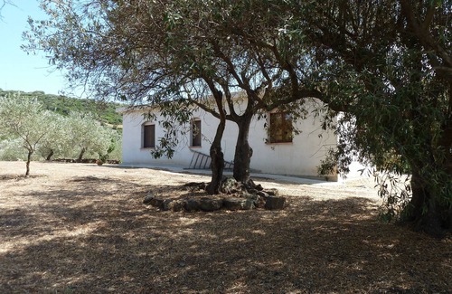 Dorgali House | Sa Carruba - Typical rural house surrounded by greenery with panoramic views