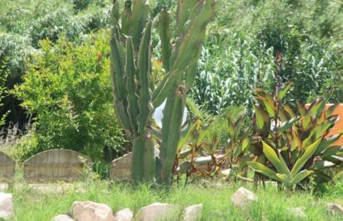 Gonnesa House | Sa Funtana