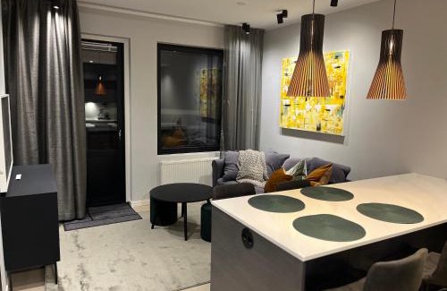 Yllas Apartment | Saaga Ylläs Chalet 3304