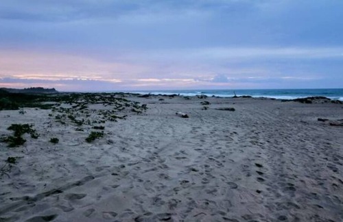 Los Brazos Apartment | Sabaneta - Hidden Luxury Apartment by the beach