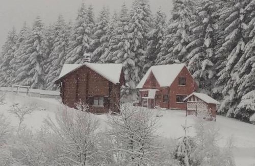 Skhidnytsya House | Sadyba Drymba