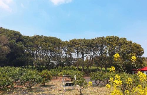 Namwon House | Saesarr Private Stay in Mandarin Orchard, 100m from Sea