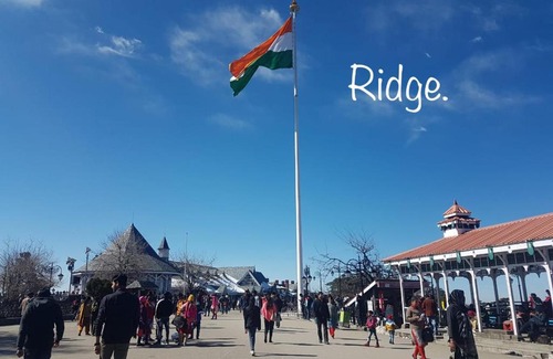 Shimla Bed & Breakfast | Sai Cottage Shimla