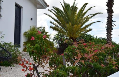 Pietermaai District Resort | Saint Joris a tiny Boutique Resort