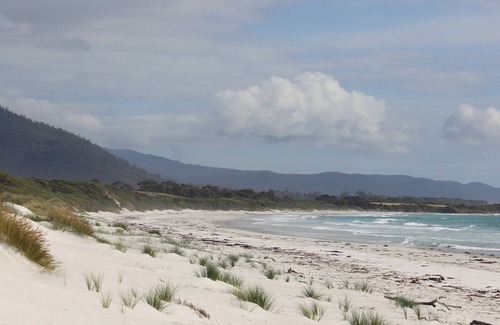 Bicheno House | Salt Shack Bicheno | coastal charm, steps from the surf