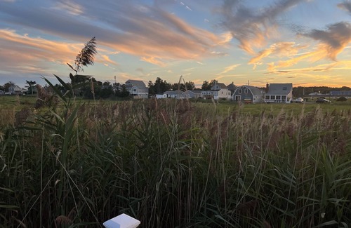 Brant Rock House | Salty Air & Beautiful Marsh Views: Paradise!