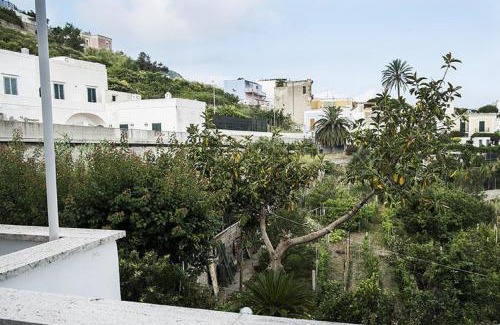 Ponza House | Salvatore 7