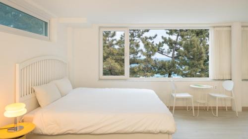 Samcheok House | Samcheok Migaloo Pool Villa Pension