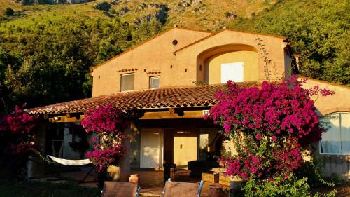 Cersuta Villa | San Biagio Lodges Maratea in Cersuta