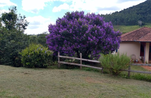 Aiuruoca House | Sanctuary of Nature and Water Fountain, a loft in the woods - 2km from Aiuruoca
