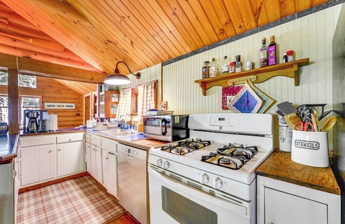Saranac Lake Cabin | Saranac Lake Cabin w/Deck: Pets Welcome!