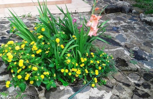 Orosei Apartment | Sardinia-Orosei-east coast-apartment in villa 300 meters from the sea.