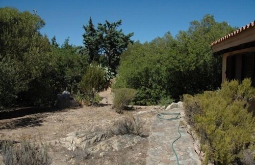 Monte Petrosu Villa | Sardinia: spacious and bright villa with garden a few meters from the sea