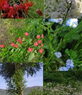 Tatev Bed & Breakfast | Saro B&B