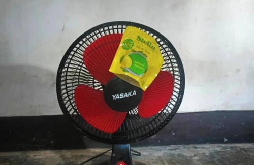Selong Other | Sasak Living Authentic